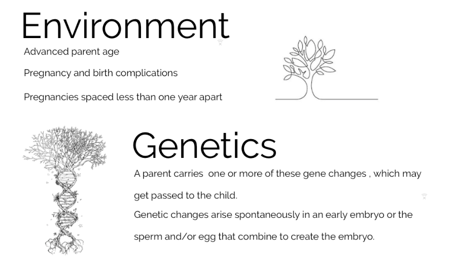 environment and genetics