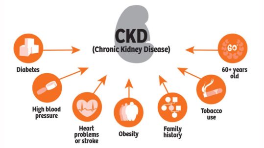 World Kidney Day - Medvisit