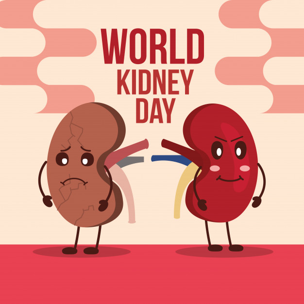 kidneyday